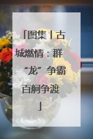 图集丨古城燃情：群“龙”争霸 百舸争渡