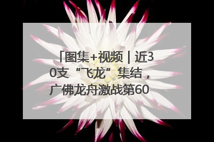图集+视频｜近30支“飞龙”集结，广佛龙舟激战第60届荔湾“沙溪景”