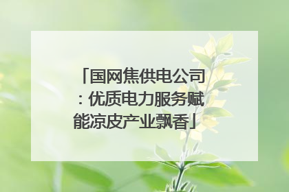 国网焦供电公司：优质电力服务赋能凉皮产业飘香