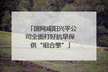 国网咸阳兴平公司全面打好抗旱保供“组合拳”