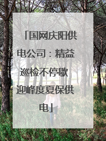 国网庆阳供电公司：精益巡检不停歇 迎峰度夏保供电