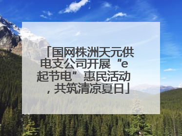 国网株洲天元供电支公司开展“e起节电”惠民活动，共筑清凉夏日