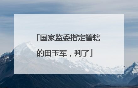 国家监委指定管辖的田玉军，判了