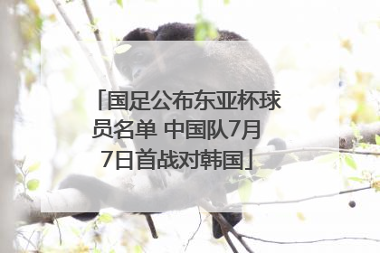 国足公布东亚杯球员名单 中国队7月7日首战对韩国