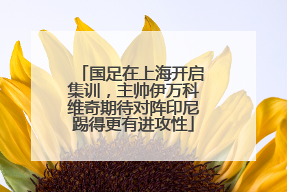 国足在上海开启集训，主帅伊万科维奇期待对阵印尼踢得更有进攻性