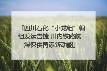 四川石化“小龙组”编组发运告捷 川内铁路航煤保供再添新动能