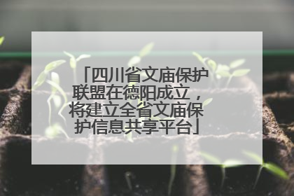 四川省文庙保护联盟在德阳成立，将建立全省文庙保护信息共享平台
