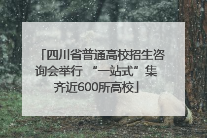 四川省普通高校招生咨询会举行 “一站式”集齐近600所高校