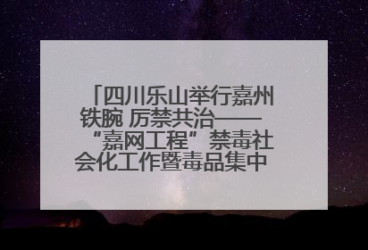 四川乐山举行嘉州铁腕 厉禁共治——“嘉网工程”禁毒社会化工作暨毒品集中销毁启动仪式