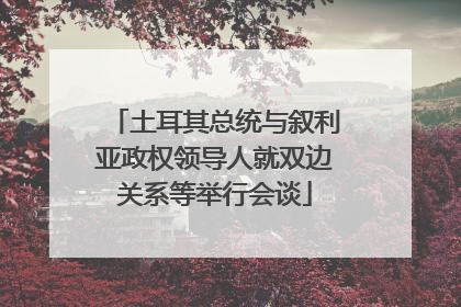 土耳其总统与叙利亚政权领导人就双边关系等举行会谈
