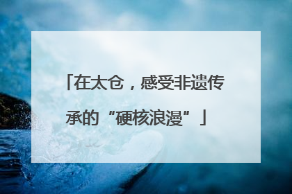 在太仓，感受非遗传承的“硬核浪漫”