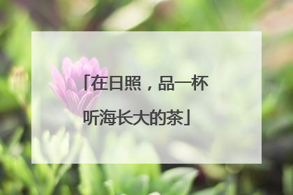 在日照，品一杯听海长大的茶