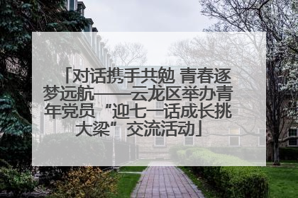 对话携手共勉 青春逐梦远航——云龙区举办青年党员“迎七一话成长挑大梁”交流活动