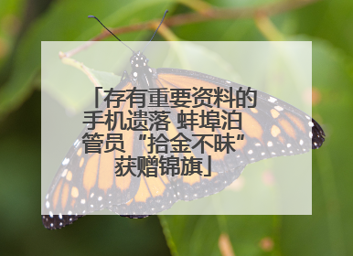 存有重要资料的手机遗落 蚌埠泊管员“拾金不昧”获赠锦旗