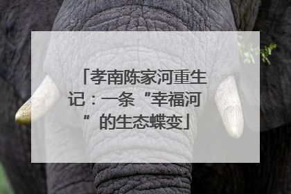 孝南陈家河重生记：一条“幸福河”的生态蝶变
