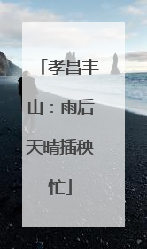 孝昌丰山：雨后天晴插秧忙