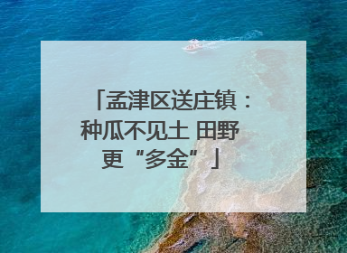 孟津区送庄镇：种瓜不见土 田野更“多金”