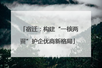 宿迁：构建“一核两翼”护企优商新格局
