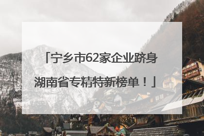 宁乡市62家企业跻身湖南省专精特新榜单！