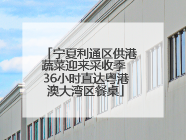 宁夏利通区供港蔬菜迎来采收季 36小时直达粤港澳大湾区餐桌