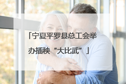 宁夏平罗县总工会举办插秧“大比武”