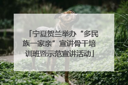 宁夏贺兰举办“多民族一家亲”宣讲骨干培训班暨示范宣讲活动
