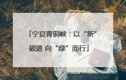 宁夏青铜峡：以“新”破题 向“绿”而行