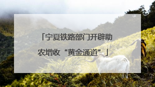 宁夏铁路部门开辟助农增收“黄金通道”