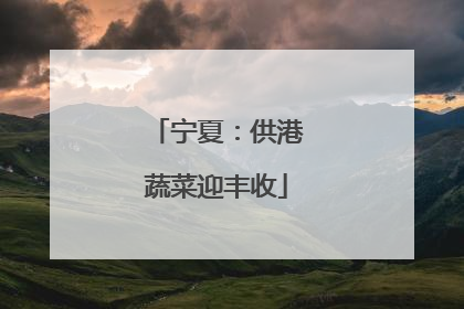 宁夏：供港蔬菜迎丰收