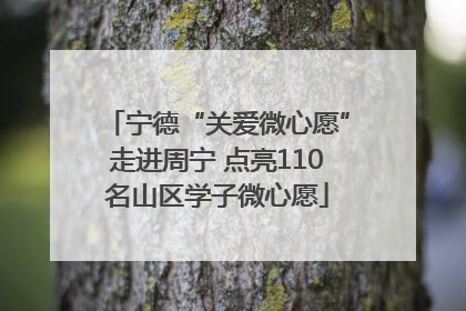 宁德“关爱微心愿”走进周宁 点亮110名山区学子微心愿