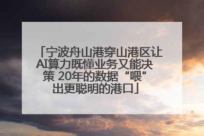 宁波舟山港穿山港区让AI算力既懂业务又能决策 20年的数据“喂”出更聪明的港口