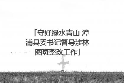 守好绿水青山 漳浦县委书记督导涉林图斑整改工作