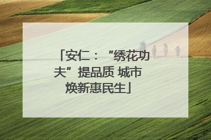 安仁：“绣花功夫”提品质 城市焕新惠民生