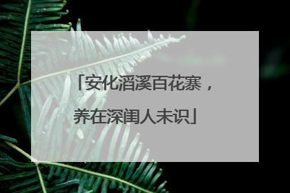 安化滔溪百花寨，养在深闺人未识