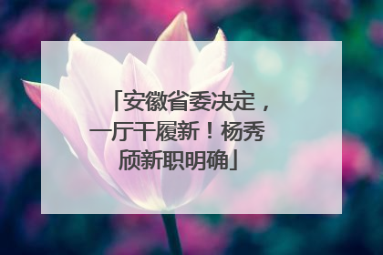 安徽省委决定，一厅干履新！杨秀颀新职明确