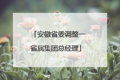 安徽省委调整一省属集团总经理