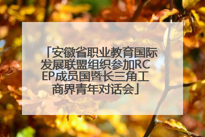 安徽省职业教育国际发展联盟组织参加RCEP成员国暨长三角工商界青年对话会