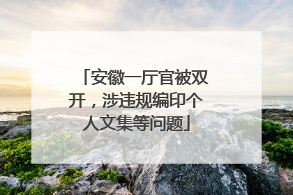 安徽一厅官被双开，涉违规编印个人文集等问题