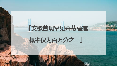 安徽首现罕见并蒂睡莲 概率仅为百万分之一