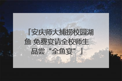 安庆师大捕捞校园湖鱼 免费宴请全校师生品尝“全鱼宴”