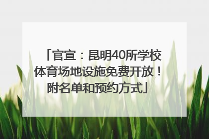 官宣：昆明40所学校体育场地设施免费开放！附名单和预约方式