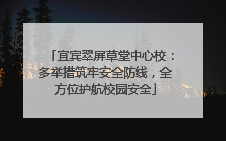 宜宾翠屏草堂中心校：多举措筑牢安全防线，全方位护航校园安全