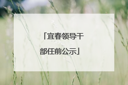 宜春领导干部任前公示