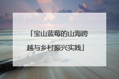 宝山蓝莓的山海跨越与乡村振兴实践