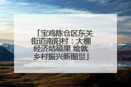 宝鸡陈仓区东关街道南阳村：大棚经济结硕果 绘就乡村振兴新图景
