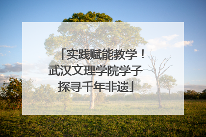 实践赋能教学！武汉文理学院学子探寻千年非遗
