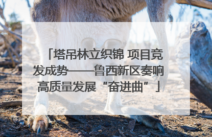 塔吊林立织锦 项目竞发成势——鲁西新区奏响高质量发展“奋进曲”