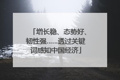 增长稳、态势好、韧性强……透过关键词感知中国经济