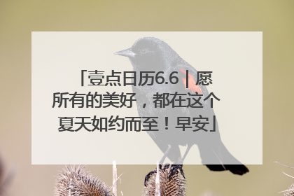 壹点日历6.6｜愿所有的美好，都在这个夏天如约而至！早安
