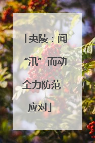夷陵：闻“汛”而动 全力防范应对